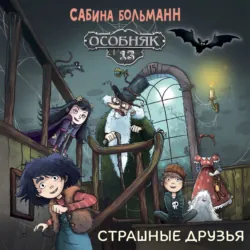 Особняк №13. Страшные друзья - Сабина Больманн