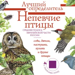 Непевчие птицы. Средняя полоса европейской части России. Определитель с голосами птиц - Владимир Архипов