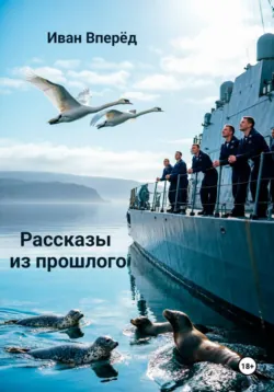 как мея хотели украсть, аудиокнига . ISDN74358822