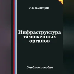 Инфраструктура таможенных органов - Сергей Каледин