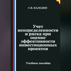Учет неопределенности и риска при оценке эффективности инвестиционных проектов - Сергей Каледин