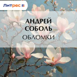 Обломки - Андрей Соболь