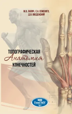 Топографическая анатомия конечностей - Даниил Введенский