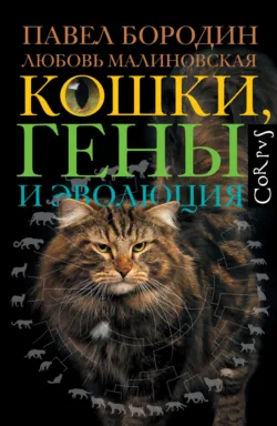 Кошки, гены и эволюция - Любовь Малиновская