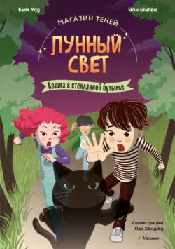 Магазин теней «Лунный свет». Книга 1. Стражи Света, аудиокнига . ISDN73492528