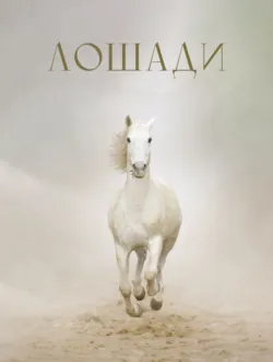 Лошади - Анна Спектор