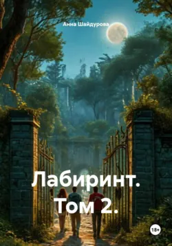 Лабиринт. Том 2. - Анна Шайдурова