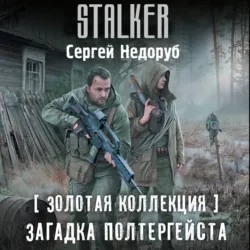 Золотая коллекция. Загадка полтергейста - Сергей Недоруб