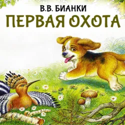Первая охота - Виталий Бианки