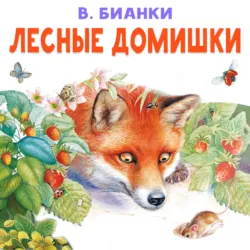 Лесные домишки - Виталий Бианки