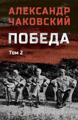 Победа. Том 2 - Александр Чаковский