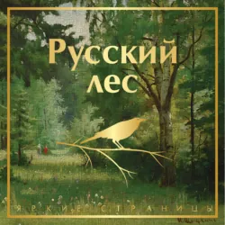 Русский лес. Рассказы русских писателей - Михаил Пришвин