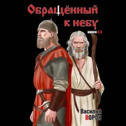 Обращённый к небу. Книги 2 и 3 - Василий Ворон