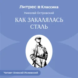 Как закалялась сталь - Николай Островский