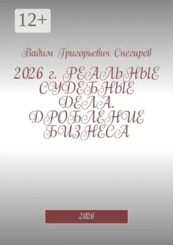 2026 г. Реальные судебные дела. Дробление бизнеса. 2026 - Вадим Снегирев