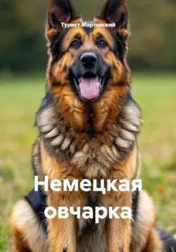 Папильон, аудиокнига . ISDN73888549