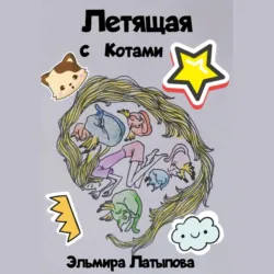 Летящая с котами - Эльмира Латыпова