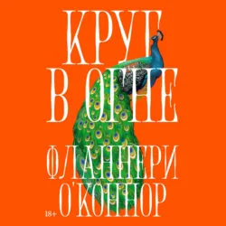 Пролетая над гнездом кукушки / One Flew Over Cuckoo’s Nest. Адаптированная книга на английском языке. Уровень A2 (Elementary), аудиокнига . ISDN74179663