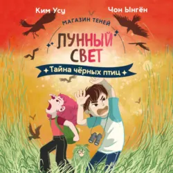 Магазин теней «Лунный свет». Книга 3. Тайна чёрных птиц - Ким Усу