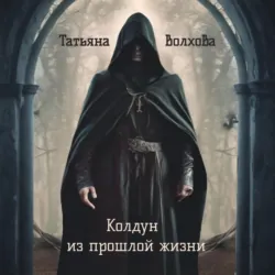 Колдун из прошлой жизни - Татьяна Волхова