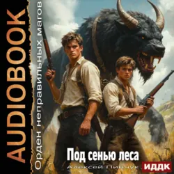 Орден неправильных магов. Книга 5. Под сенью леса - Алексей Пинчук