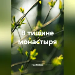 В тишине монастыря - Нил Плёсов