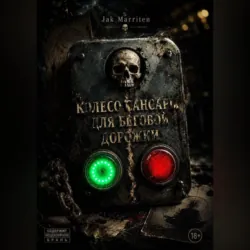 Колесо Сансары для беговой дорожки - Jak Marriten