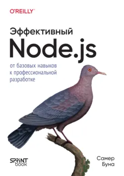 Эффективный Node.js: от базовых навыков к профессиональной разработке (pdf + epub) - Самер Буна