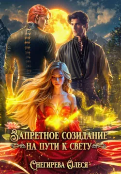 Запретное созидание. На пути к свету - Олеся Снегирева