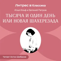 Тысяча и один день или новая Шахерезада - Илья Ильф