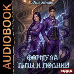 Формула тьмы и молнии - Юлия Зимина