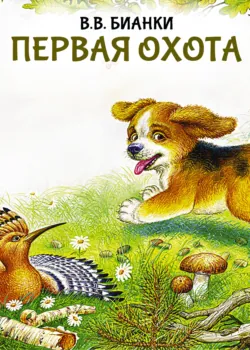 Первая охота - Виталий Бианки