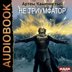 Не триумфатор - Артем Каменистый