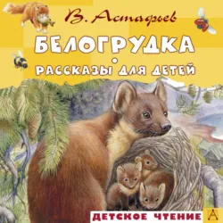Белогрудка. Рассказы для детей - Виктор Астафьев