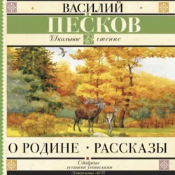 О Родине - Василий Песков
