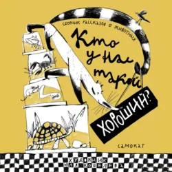 Кто у нас такой хороший? - Станислав Востоков