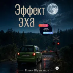 Эффект Эха - Павел Шушканов