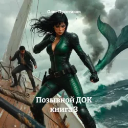 Позывной ДОК Книга 3 - Олег Простаков