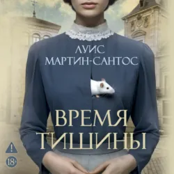 Время тишины - Луис Мартин-Сантос