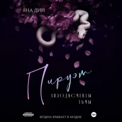 Пируэт. Аплодисменты тьмы - Яна Дин
