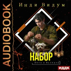 Петя и Валерон. Книга 6. Набор - Инди Видум