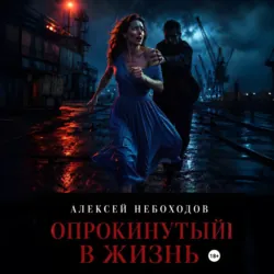 Опрокинутый в жизнь - Алексей Небоходов