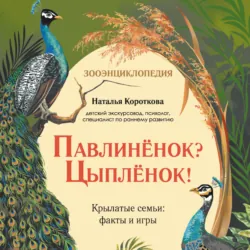 Павлиненок? Цыпленок! Крылатые семьи: факты и игры - Наталья Короткова