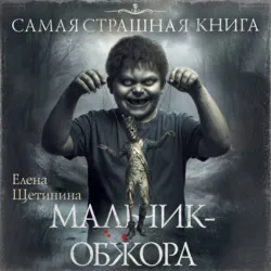 Самая страшная книга. Мальчик-обжора - Елена Щетинина
