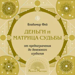 Деньги и Матрица судьбы. От предназначения до денежного изобилия - Владимир Фей