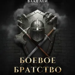 Боевое Братство - Влад Лей
