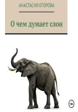 О чем думает слон - Анастасия Егорова
