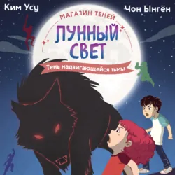 Магазин теней «Лунный свет». Книга 4. Тень надвигающейся тьмы - Ким Усу