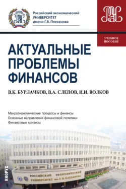 Актуальные проблемы финансов. (Магистратура). Учебное пособие. - Иван Волков