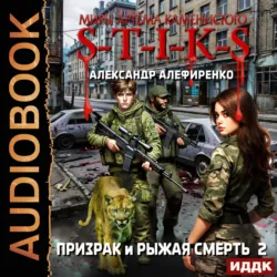 S-T-I-K-S. Призрак и Рыжая смерть. Книга 2 - Александр Алефиренко